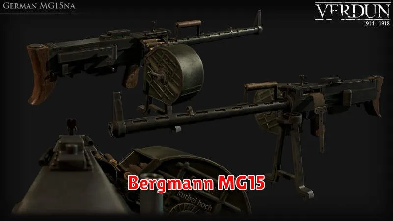 Bergmann MG15