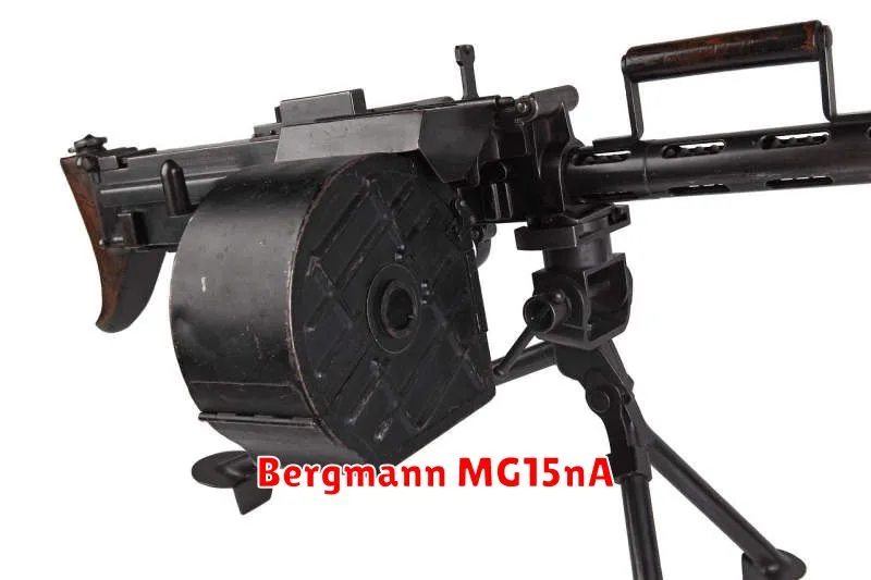 Bergmann MG15nA