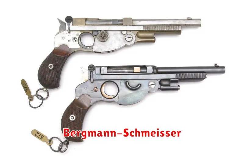 Bergmann-Schmeisser