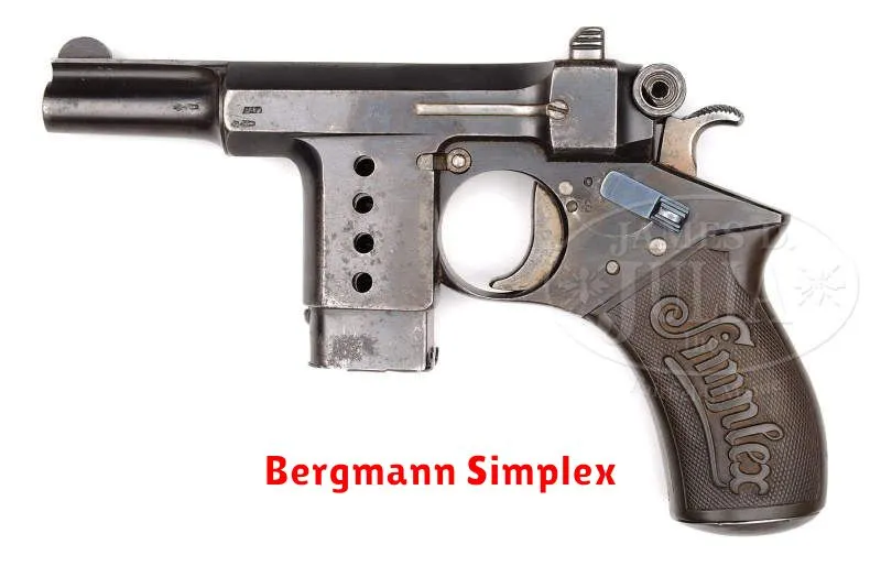 Bergmann Simplex