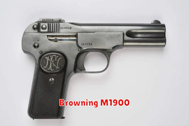 Browning M1900