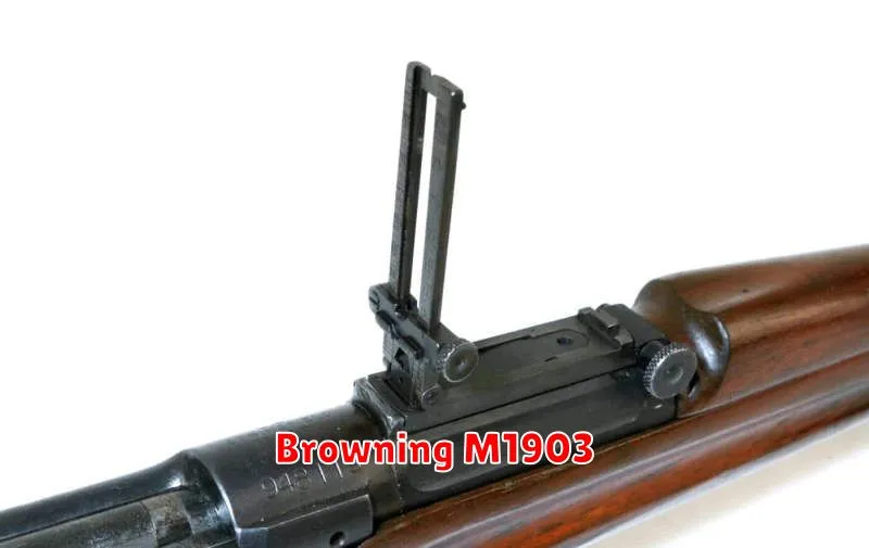 Browning M1903