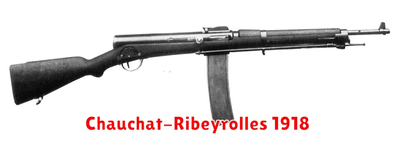 Chauchat-Ribeyrolles 1918