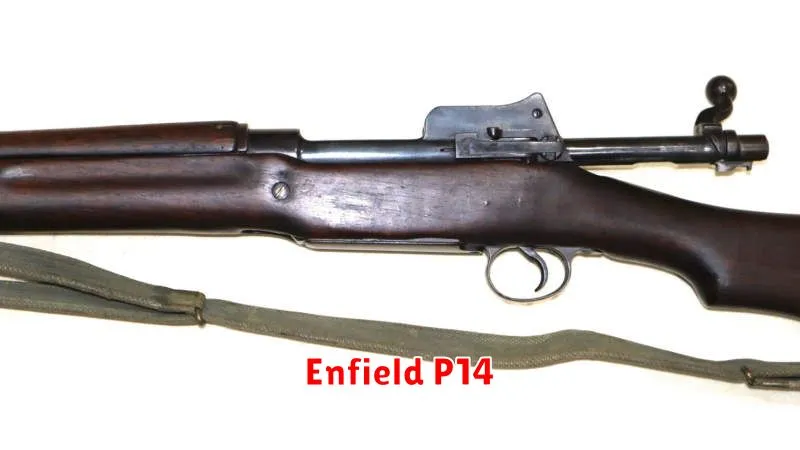 Enfield P14