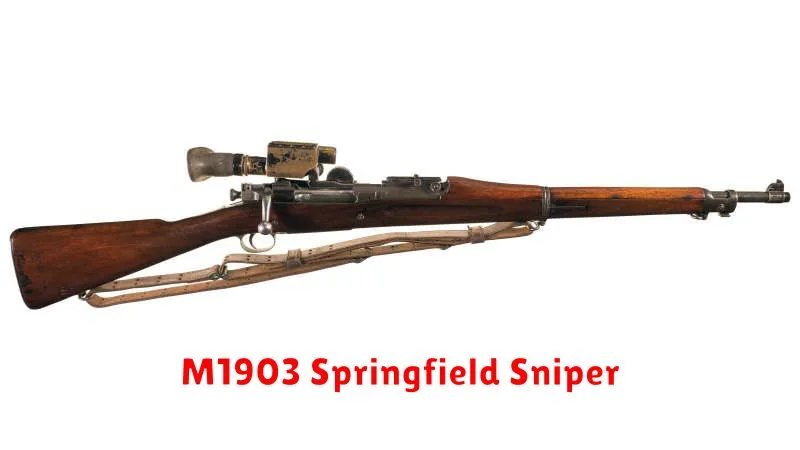 M1903 Springfield Sniper