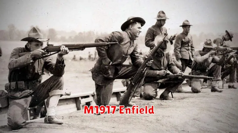 M1917 Enfield