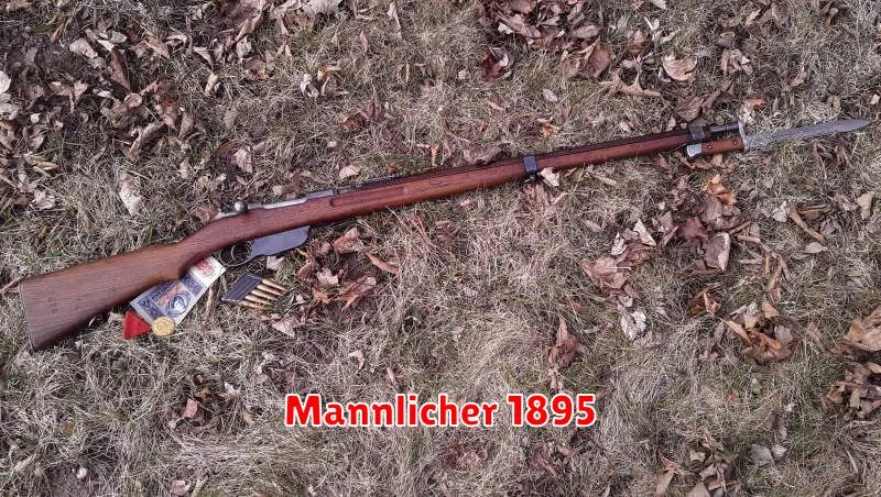 Mannlicher 1895