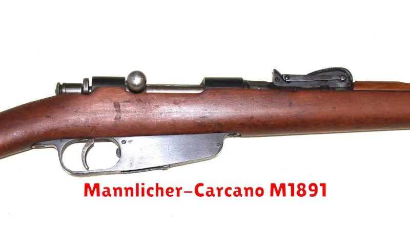 Mannlicher-Carcano M1891