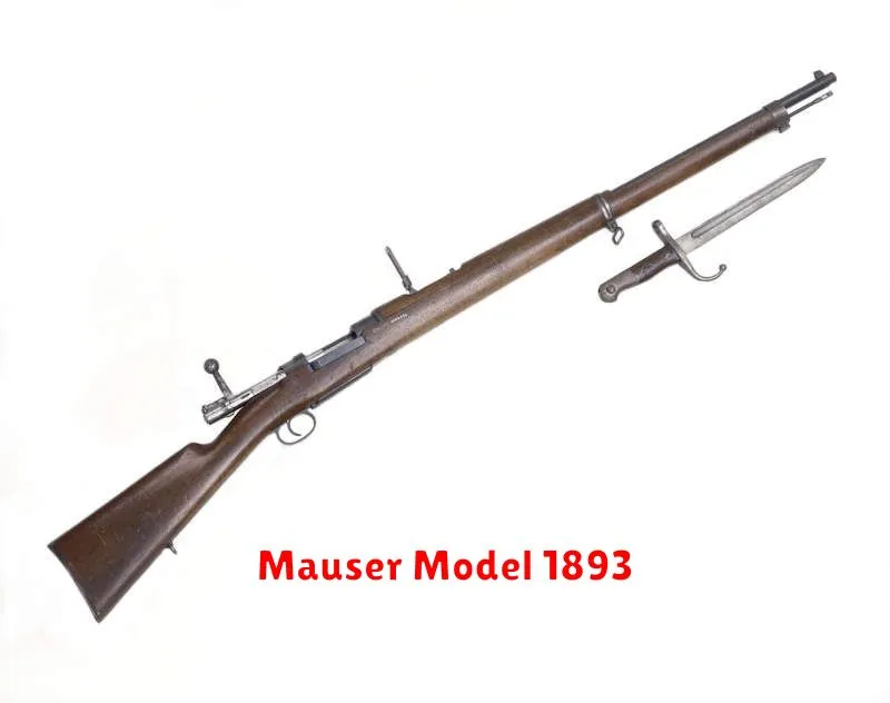 Mauser Model 1893