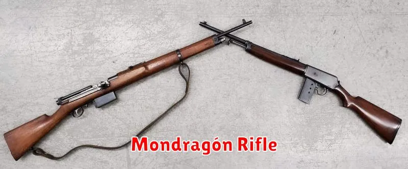 Mondragón Rifle