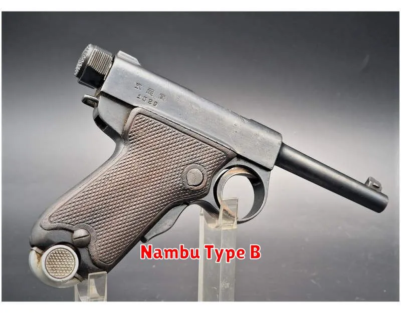 Nambu Type B