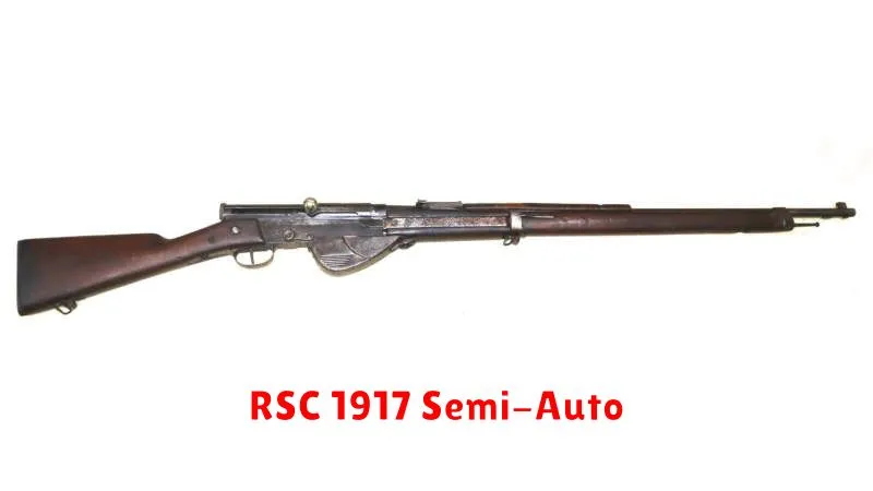 RSC 1917 Semi-Auto