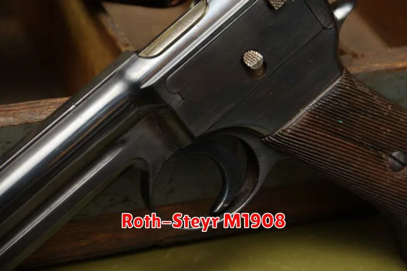 Roth-Steyr M1908