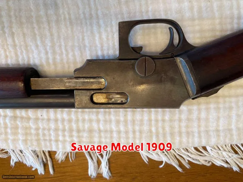 Savage Model 1909