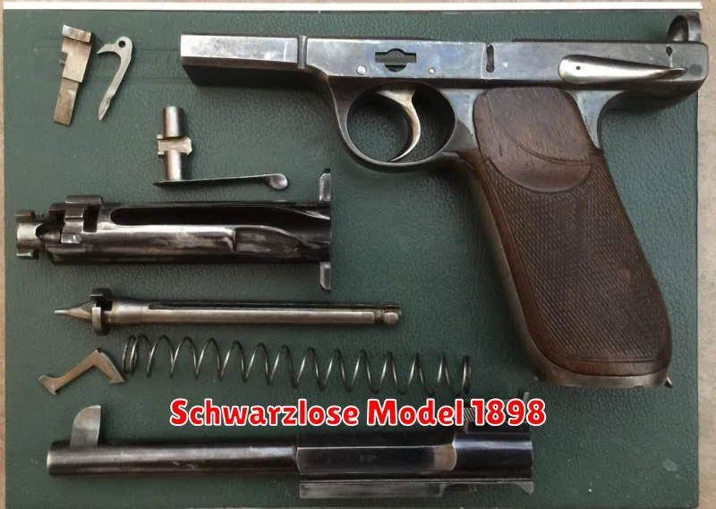 Schwarzlose Model 1898