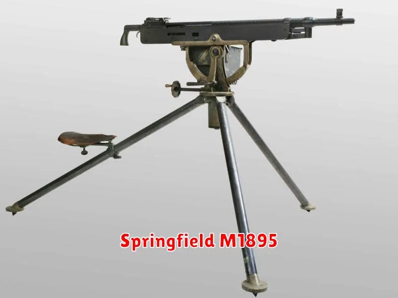 Springfield M1895