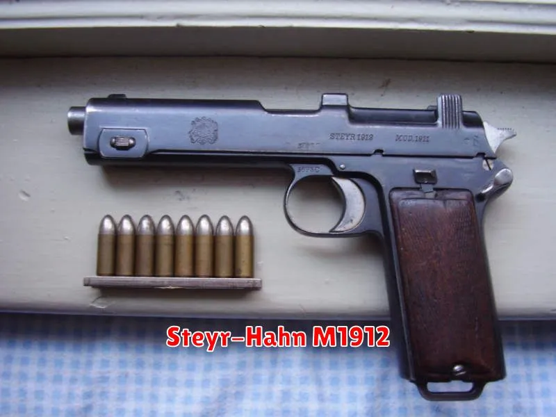 Steyr-Hahn M1912