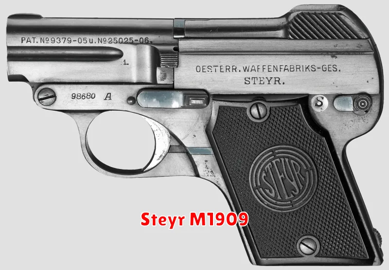 Steyr M1909