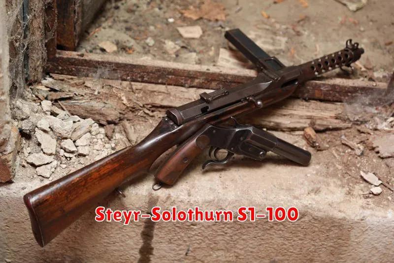 Steyr-Solothurn S1-100