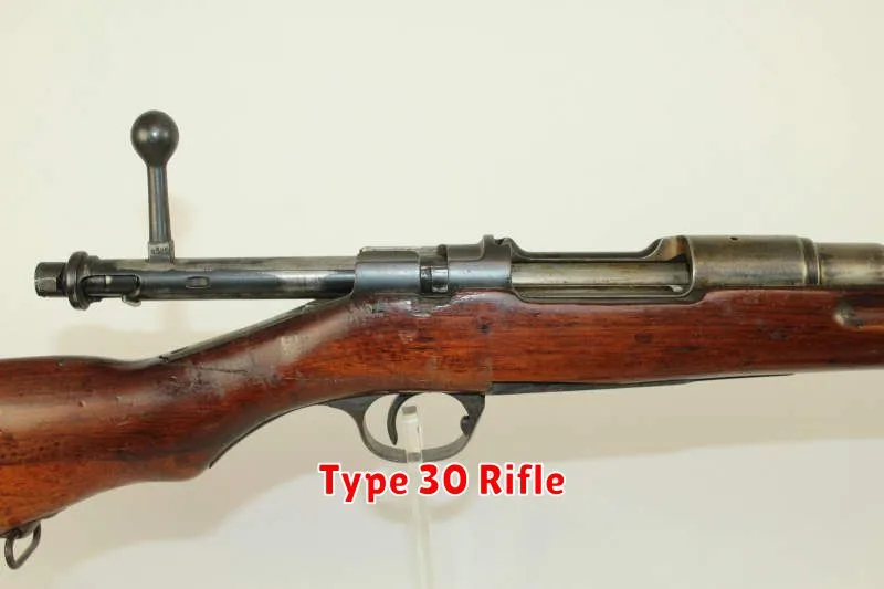 Type 30 Rifle