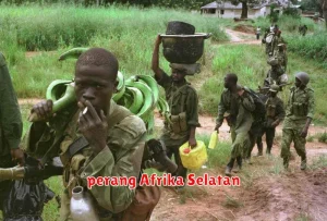 perang Afrika Selatan