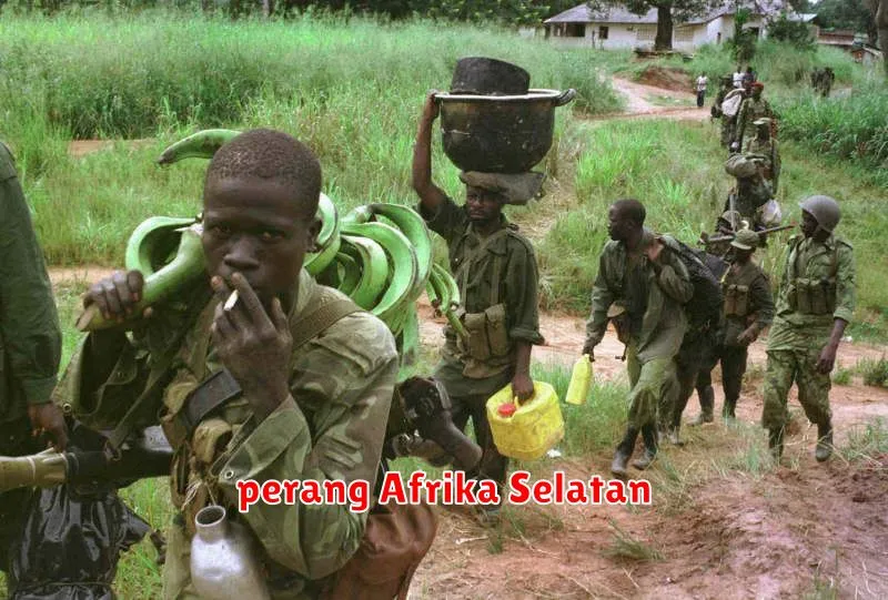 perang Afrika Selatan