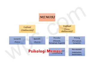 Psikologi Memori