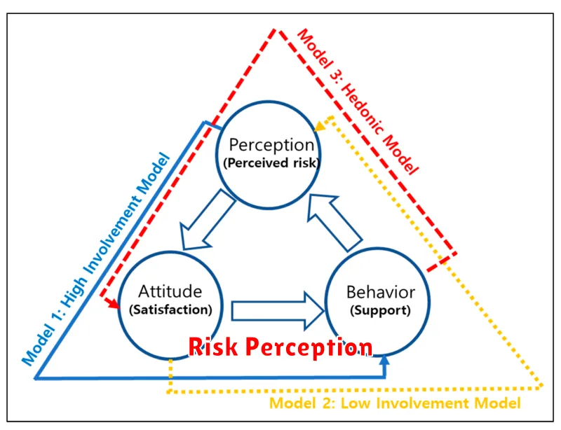 Risk Perception