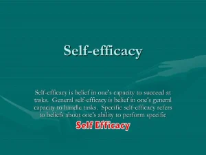 Self Efficacy